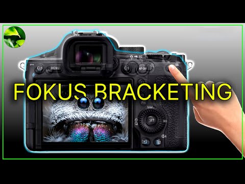 Sharp photos with focus bracketing: Sony A7V & Co. instructions