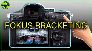 Sharp photos with focus bracketing: Sony A7V & Co. instructions