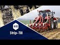 Технология обработки почвы Strip-Till. Hitech Review