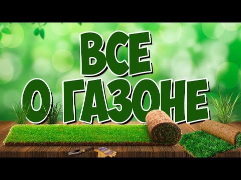 ГАЗОН и все о нем 🌱 Газонная трава 🌾 сад огород с Хитсад