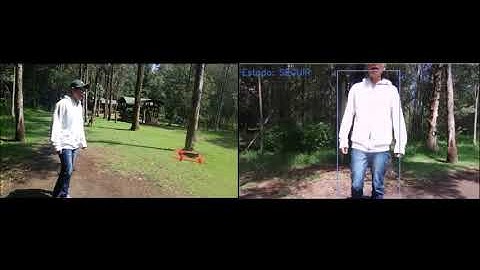 Monocular Depth Perception-based Autonomous Navigation for UAVs