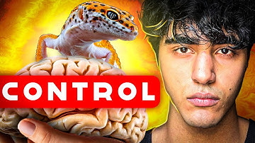 How To Take Control Over Your Life (DESTROY the LIZARD BRAIN)