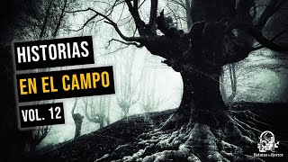 Historias En El Campo Vol. 12 (Relatos De Horror)