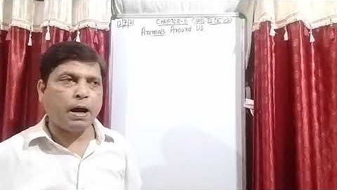 Class III EVS 12 07 2021 by Mr Rupesh Chapter 5 Animals Around Us