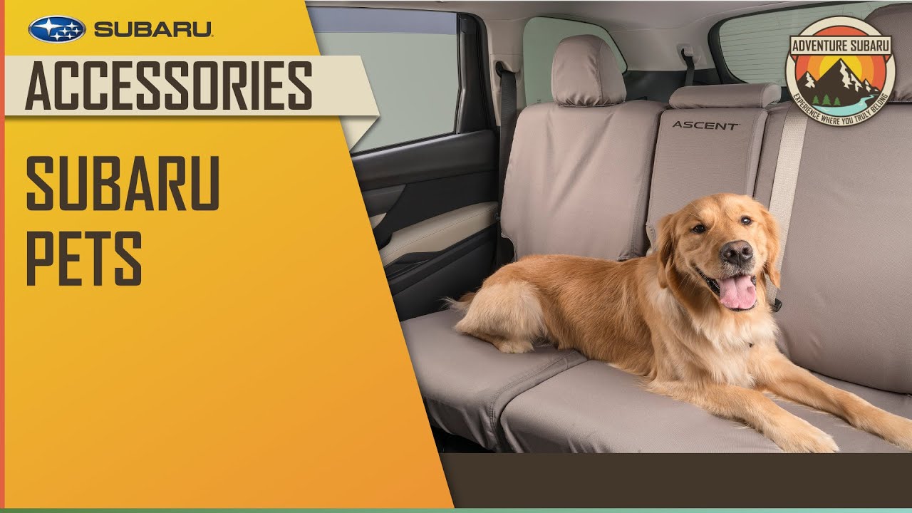 Subaru Pet Carrier And Mobile Pet Bed - SOA854S100