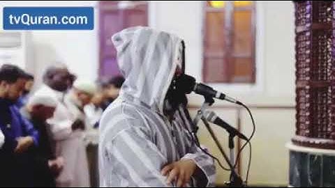 تلاوة جميلة من سورة فاطر للشيخ محمد عباده🎧