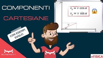 Componenti Cartesiane di un Vettore