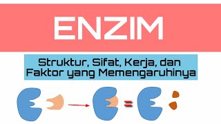 Metabolisme: Enzim, Struktur, Sifat, Cara Kerja, dan Faktor yang Memengaruhinya