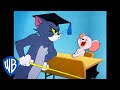 Tom y Jerry en Latino | La lección de Tom y Jerry | WB Kids