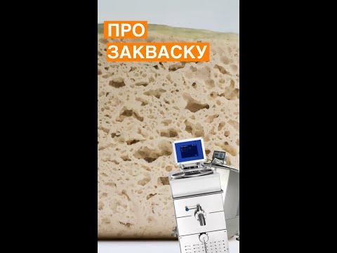 ПРО ЗАКВАСКУ.