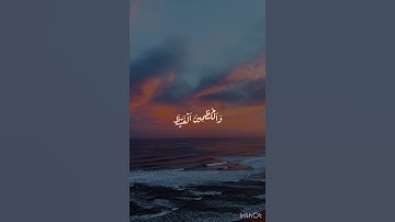 سورة آل عمران 🤍 #قرآن #المصحف #ناصر_القطامي #قرآن #العرب #قران_كريم #المصحف #سورة_آل_عمران
