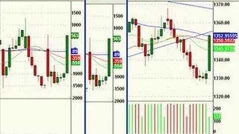 ShadowTrader Video Weekly for February 24, 2008
