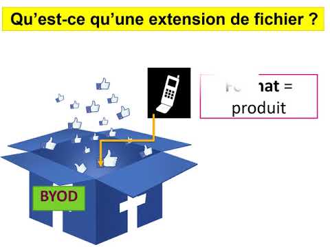 Vidéo sur les extensions et les formats de fichier