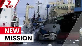 From troubled waters to Docklands: Steve Irwin Sea Shepherd gets new lease on life | 7NEWS