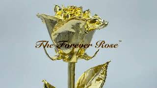 The Forever Rose™ | How is my Forever Rose made?