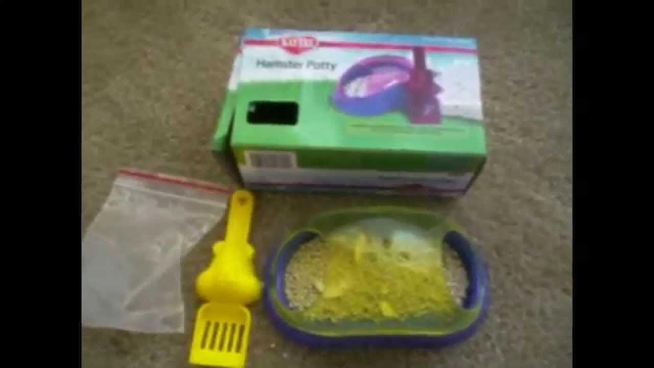 Kaytee Hamster Potty Review YouTube