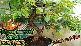 Cara Membuat Bonsai Asam Jawa || Tahapan Membuat Asam Jawa @hendiendo81