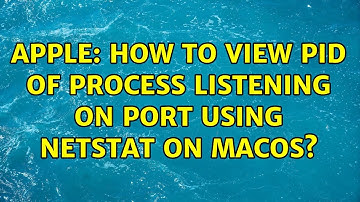 Apple: How to view pid of process listening on port using netstat on macOS?