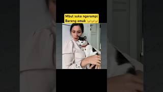 Kucing ngerumpi dengan emaknya🙀 #cat #kucinglucu #funny