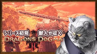 #8【ドラゴンズドグマ2】シリーズ初見！ガチ獣人が挑むドラゴンズドグマ2【Vtuber】