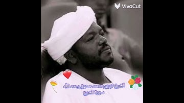 الشيخ نورين محمد صديق  سورة الشرح