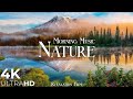 Morning relaxing music  nature relaxation film 4k  peaceful relaxing music  ultra.