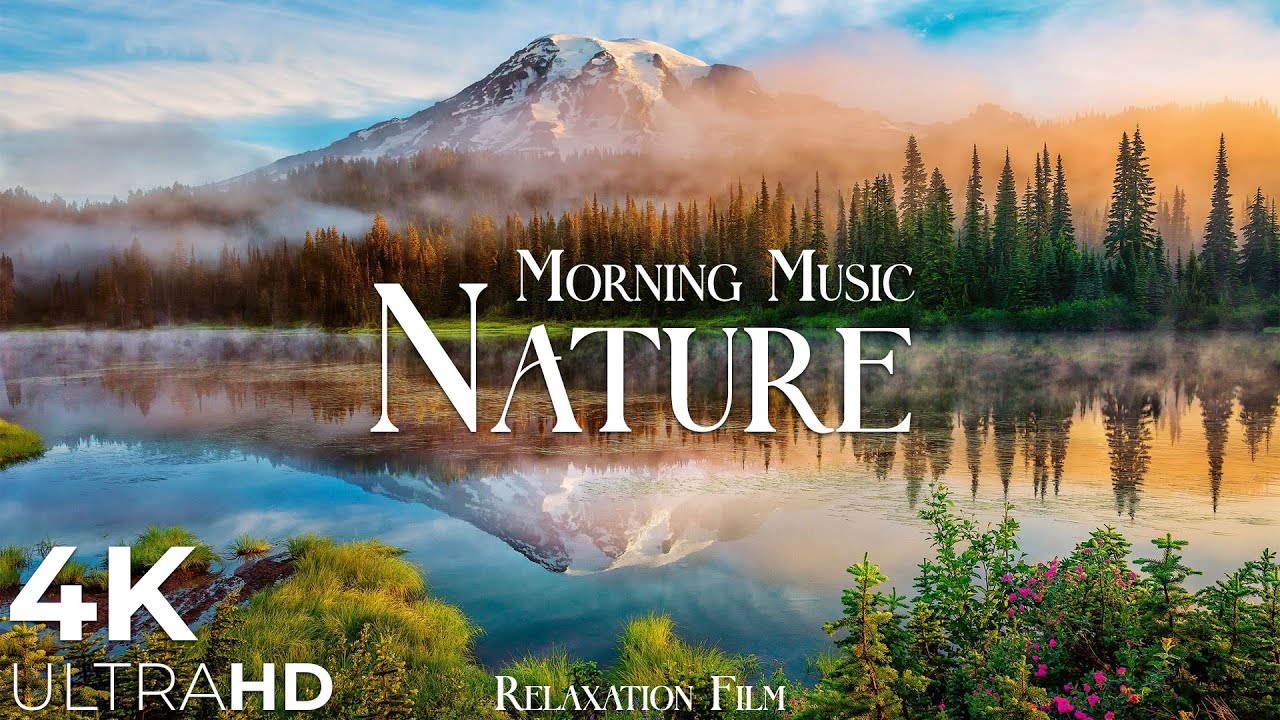 Morning Relaxing Music   Nature Relaxation Film 4K   Peaceful Relaxing Music   Video UltraHD