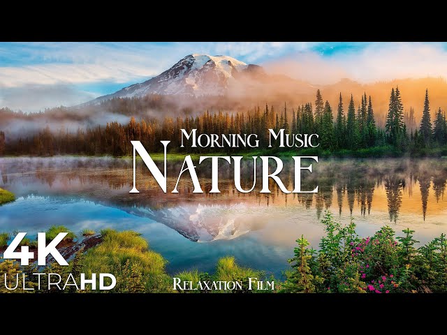 Morning Relaxing Music - Nature Relaxation Film 4K - Peaceful Relaxing Music - Video UltraHD class=