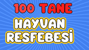 RESFEBE Örnekleri ve Cevapları | Resfebe Soruları | Hayvanlar