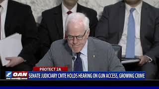 Senate Judiciary Cmte Holds Hearing On Gun Access, Growing Crime