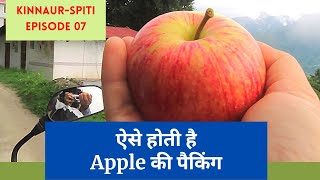 Kinnaur-Spiti Ep 07 || ऐसे होती है Apple की पैकिंग || Apple Orchard || सेब का बगीचा