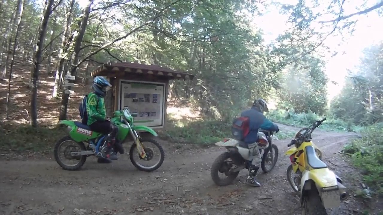 Forest Rider 12-09-16. E-2