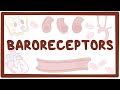 Baroreceptors