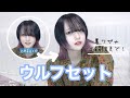 【ショートウルフ】超簡単🔰聞かれまくったヘアセット方法を教えます。