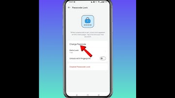 Change IMO Passcode Lock