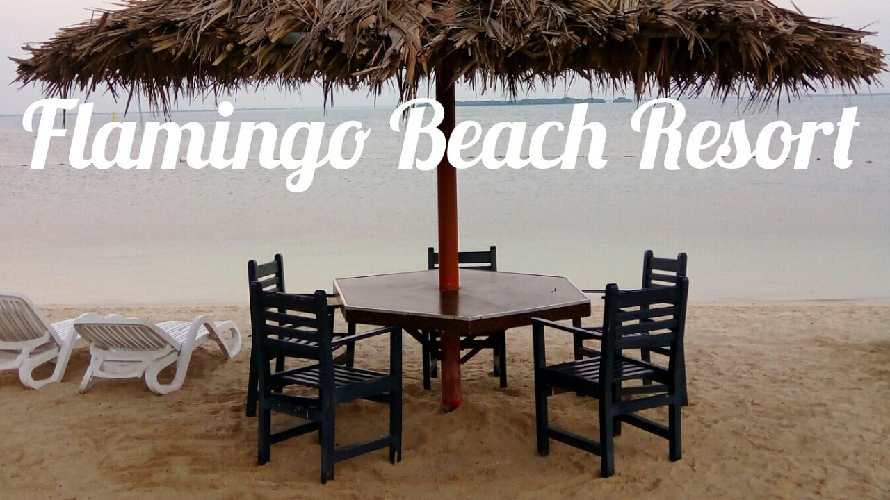 Flamingo Beach Resort Ft Crab Hunting Umm Al Quwain Uae