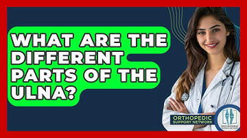 What Are The Different Parts Of The Ulna? - Orthopedic Support Network