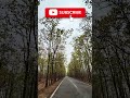 Hidden Jungle Road 😍 Paschim Medinipur | Hero Xoom 125 Ride 🌲 #shorts