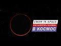 CMDR IN SPACE КАК ЗАПУСТИТЬ ВАШЕГО ПЕРСОНАЖА В КОСМОС Elite Dangerous Odyssey