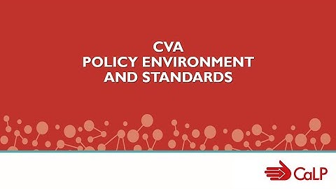 CaLP Training Video: CVA Standards and the Policy Environment