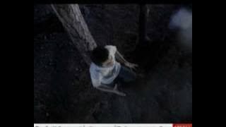 نور العيون | فرقة صبا الفنية