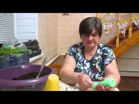 Морковные пироги рецепты с фото на RussianFoodcom 43