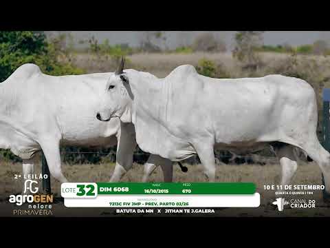 LOTE 32