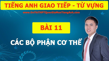 TỪ VỰNG - GIAO TIẾP TIẾNG ANH : TỔNG HỢP CÁC BỘ PHẬN TRÊN CƠ THỂ NGƯỜI