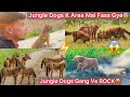 Jungle dogs k ilaka m fass gyerock vs jungle gang rescue puppy ko sabhi dogs se milva diya