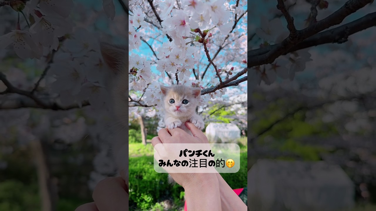 2026年4月6日