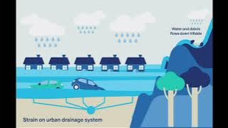 copy ED9147C9 D945 43C7 B591 8AE4CB9C63AD