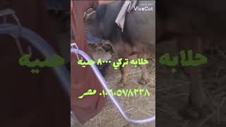 حلابه اللبن حلابه الجاموس حلابه البقر وليد المصري ٠١٠٦٠٥٧٨٢٢٨