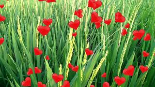 Mugam Parkka Nanum Status Whatsapp Status