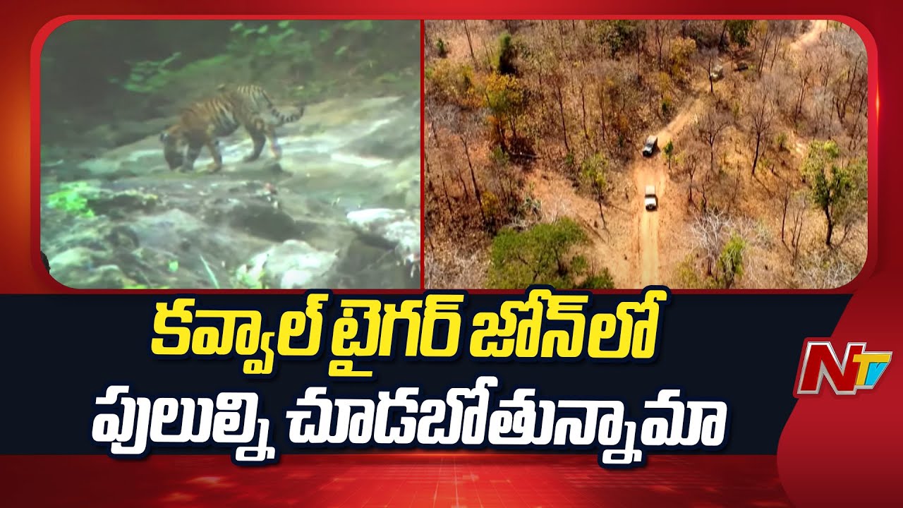 Into the Wild : Kawal Tiger Zone Adventure..? | Telangana | NTV Telugu